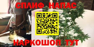 ECSTASY Будённовск
