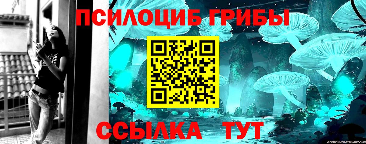 Галлюциногенные грибы Magic Shrooms  Вход с VPN  Жуковский 